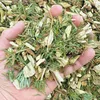 A hand holding a pile of wood chips and pine needles. Anteprima dell’immagine prodotto