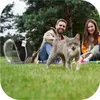 zaino trasportino per gatto e cane, Furrever Friends Anteprima dell’immagine prodotto 4