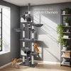 Kratzbaum Hansi 243 bis 260 cm inklusive 2 Treppen, 2 Produktbild-Vorschau 7