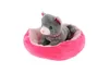 Pet in the bed peluche 4 colori 22x24cm 24m+ Anteprima dell’immagine prodotto 9