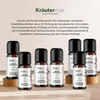 Olej goździkowy Kräutermax, 10 ml Podgląd zdjęcia produktu 6