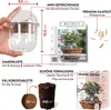GROW2GO Kakteen Starter Kit Anzuchtset - Pflanzset aus Produktbild-Vorschau 2
