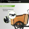 SachsenRAD T2 Neo Vintage E-Lastenrad – Stylisches Produktbild-Vorschau 7