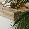 A close-up view of the corner of a wooden shelf with a plant in the foreground. Náhľad obrázku produktu