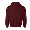 Harry Potter - "Gryffindor" Kapuzenpullover für Mädchen Produktbild-Vorschau 2