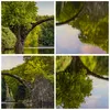 Bild auf Leinwand - Leinwandbild - Park Natur Wasser - Produktbild-Vorschau 8