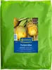 Kiepenkerl Futterrübe Eckdogelb Beta vulgaris var. vulgaris Produktbild-Vorschau 2