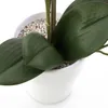 artplants.de Künstliche Orchidee Phalaenopsis Candida, 2 Produktbild-Vorschau 3