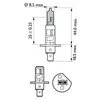 Technical drawing of a light bulb with dimensions and multiple views. Produktbild-Vorschau