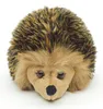 A plush toy hedgehog on a white background. Produktbild-Vorschau
