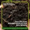 Gründüngung Nährstoffanreicherung 1 kg Produktbild-Vorschau 3