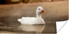 MuchoWow® Poster Ente - Vogel - Wasser - Weiß 40x20 cm - Produktbild-Vorschau 1