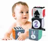 Clementoni Premiers Mois - Blocs Noirs/Blancs Voir les images du produit 3