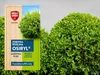 Wurzelstimulator Osiryl - 10ml - Besseres Pflanzenwachstum Produktbild-Vorschau 6
