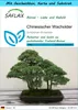 SAFLAX Geschenk Set - Chinesischer Wacholder - Juniperus Produktbild-Vorschau 1