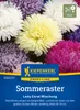 Kiepenkerl Profi-Line Blumensamen Sommeraster Lady Carol Produktbild-Vorschau 3