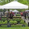 People browsing plants at an outdoor market under a white canopy tent. Produktbild-Vorschau