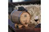 A wooden barrel with grapes and a glass of wine on a table, with hay bales in the background. Podgląd zdjęcia produktu