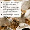 Edelstahl Futterpinzette - 20 cm - Abgewinkelt Produktbild-Vorschau 4