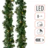A close-up of a green Christmas garland with small LED lights. Anteprima dell’immagine prodotto