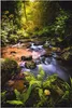 ARTland Wandbild Alu für Innen & Outdoor Wildbach im Wald Produktbild-Vorschau 1