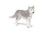 Papo Siberian Husky, Sammelfigur, Film & TV-Serien, 24 g Produktbild-Vorschau 3
