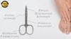 Ciseaux à ongles Solingen 9 cm - Acier inoxydable, courbés, Voir les images du produit 3