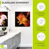 ARTland Glasbild Clivie in leuchtendem Orange Größe: 20x20 Produktbild-Vorschau 2