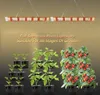 Two full-spectrum plant lights are shown suspended above potted tomato plants at different stages of growth. Náhľad obrázku produktu