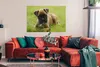 MuchoWow® Poster Boxerwelpe liegt im grünen Gras 120x80 cm Produktbild-Vorschau 2