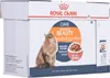 ROYAL CANIN Hair & Skin Care - nassfutter für Katzen - Produktbild-Vorschau 1