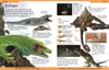 DK Kinderlexikon. Tiere Produktbild-Vorschau 9