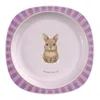 Canpol babies Teller mit Saugnapf 23 cm Woodland Rosa Produktbild-Vorschau 1