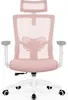 Chaise de bureau ergonomique Aiibot, chaise de bureau avec Voir les images du produit 1
