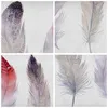 Bild auf Leinwand - Leinwandbild - Feder Tier Vogel Produktbild-Vorschau 8
