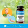 Bioherba Sulforaphan Brokkoli Extrakt 400 mcg 100 Kapseln Produktbild-Vorschau 7