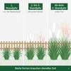 Stauden Gänge 2 x Cortaderia selloana im 1 Liter Topf - Produktbild-Vorschau 3