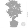 Bloomique – Ficus Ginseng – S-Form – Bonsai – Zimmerpflanze Produktbild-Vorschau 5