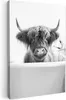 MuchoWow® - Leinwandbilder - Schottischer Highlander - Kuh Produktbild-Vorschau 1