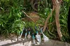GARDENA Kralle Gartenkralle Einstecher Stahl Garden Tools Produktbild-Vorschau 10