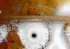 Akustikbild Abstrakt 200x100 cm Bilder Akustikschaum Produktbild-Vorschau 5