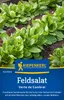 Kiepenkerl Feldsalatsamen Verte de Cambrai Valerianella Produktbild-Vorschau 3
