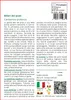SAFLAX  - Billeri dei prati - 100 semi - Con substrato - Anteprima dell’immagine prodotto 3