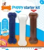 Nylabone Puppy Chew Puppy Starter Kit Chicken Náhľad obrázku produktu 3