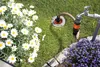 GARDENA 18099-20 GARDENA Gartenschlauch SuperFLEX 50 m Productafbeelding-voorbeeld 13