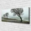 Tulup Leinwand-Bilder 125x50 Wandbild Canvas Kunstdruck Produktbild-Vorschau 2