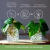 comforder – Perle d'acqua trasparenti – Perle d'acqua Anteprima dell’immagine prodotto 3