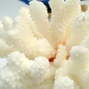A close-up view of white coral branches, likely for aquarium decoration or home decor. Produktbild-Vorschau
