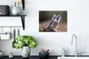 MuchoWow® Poster Eule - Makro - Tier 40x30 cm - Plakate für Produktbild-Vorschau 3