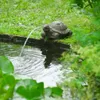 Ubbink Wasserspeier Schildkröte Produktbild-Vorschau 3